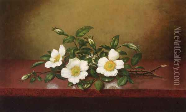 Cherokee Roses On A Shiney Table Oil Painting - Martin Johnson Heade