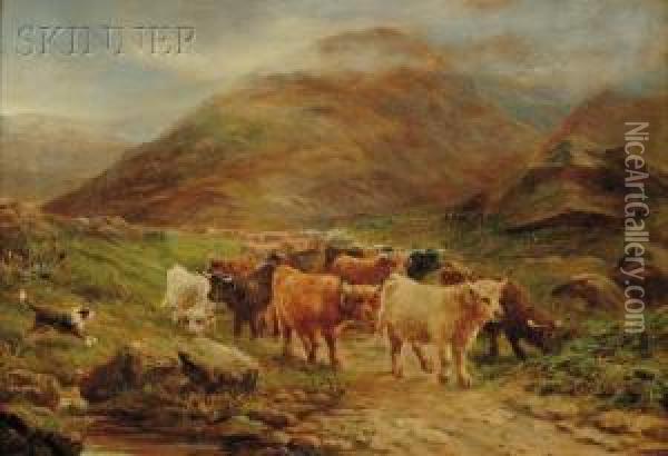 Highland Cattle Oil Painting - Henry Garland