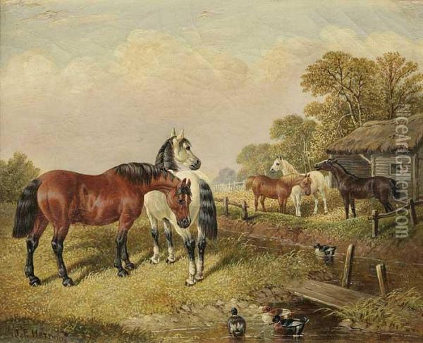Pferde Auf Der Koppel Am Ententeich Oil Painting - John Frederick Herring Snr