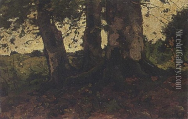 Wooded Landscape Oil Painting - Theophile De Bock