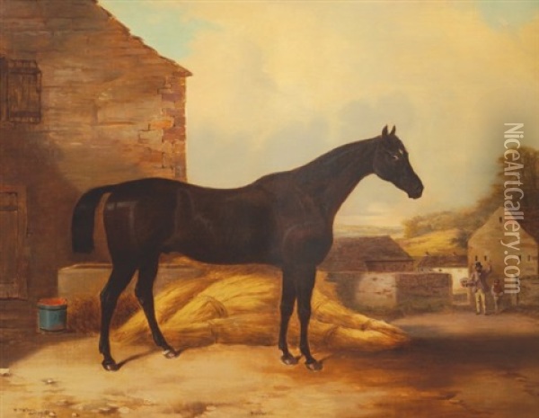 Horse On A Farm Oil Painting - William Malbon