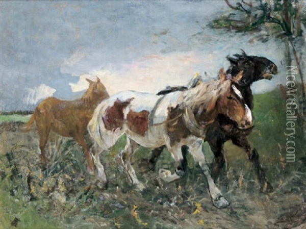 Pferde Oil Painting - Julius von Blaas