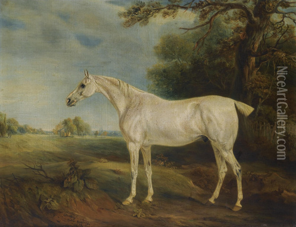 The Marquess Of Huntly's Fleabitten Grey Hunter Oil Painting - John Snr Ferneley