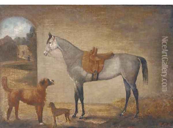 A saddled grey in a stable with two dogs Oil Painting - English School