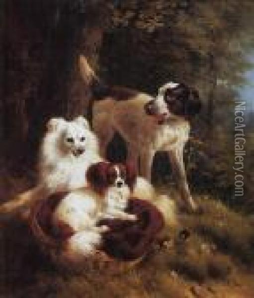 Two Dogs And A Hound In A Landscape Oil Painting - Henriette Ronner-Knip