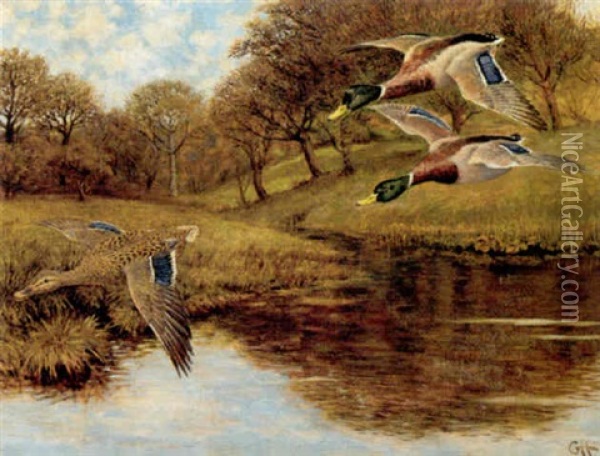 Flyvende Graaender Over Mose Oil Painting - Gerhard Heilmann