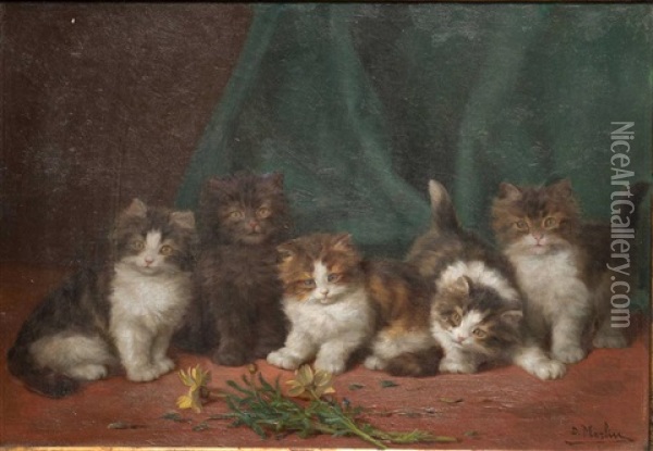 Five Kittens Oil Painting - Daniel Merlin