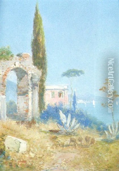 The Bay Of Fichatella Oil Painting - Georg Fischhof