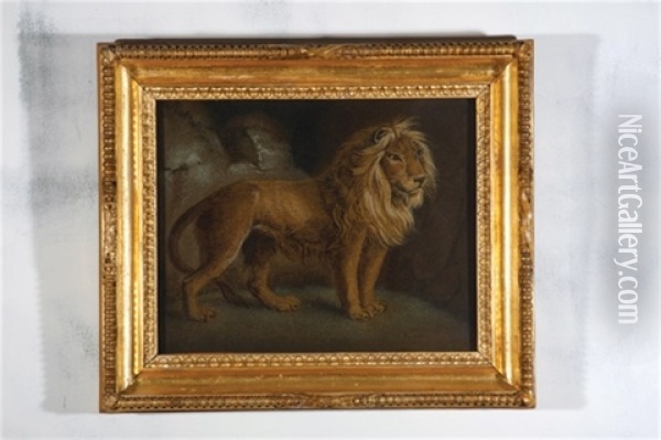 Untitled (lion) Oil Painting - Benjamin Zobel