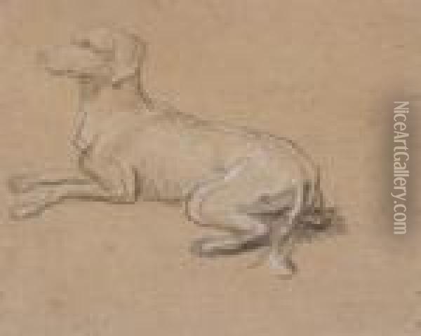 Studies Of Dogs Oil Painting - Alexandre-Francois Desportes