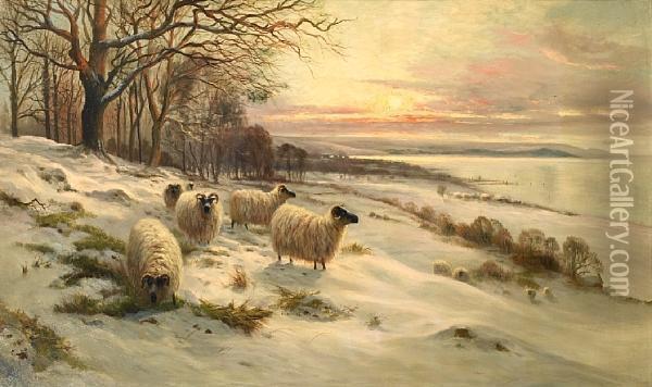 Sheep In The Snow At Sunset Oil Painting - Malcolm Fraser