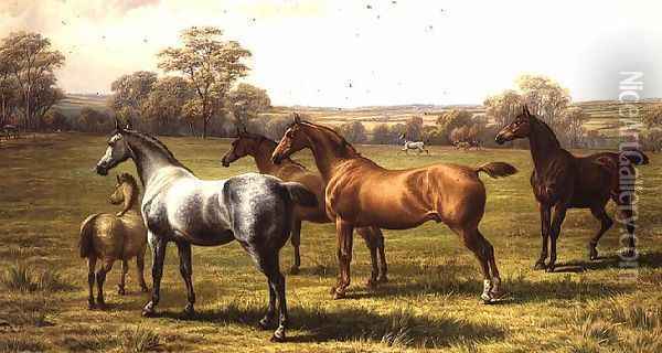 Horses and Foal in a Field Oil Painting - Charles Jones