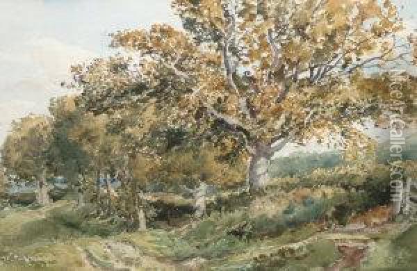 Near Haslemere Oil Painting - Thomas Collier