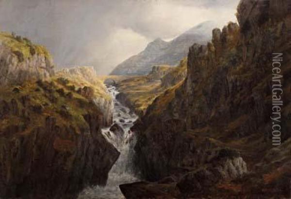 The Falls, The Ogwe, North Wales Oil Painting - Henry W. Henley