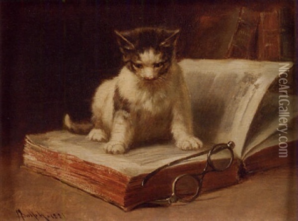 The Scholar / A Kitten On A Book Oil Painting - John Henry Dolph
