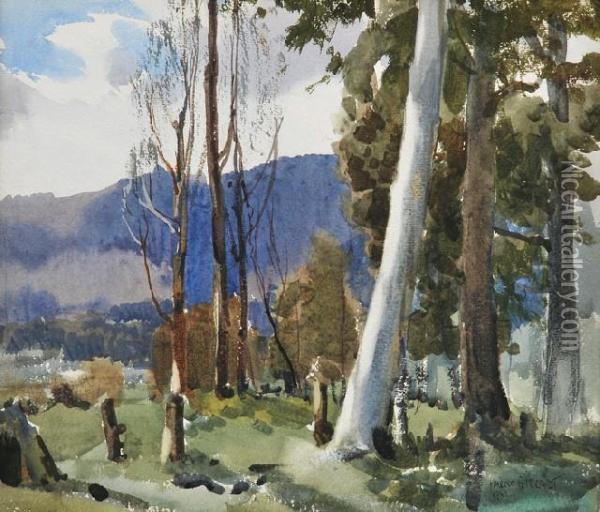 Landscape With Gums Oil Painting - Harold Brocklebank Herbert