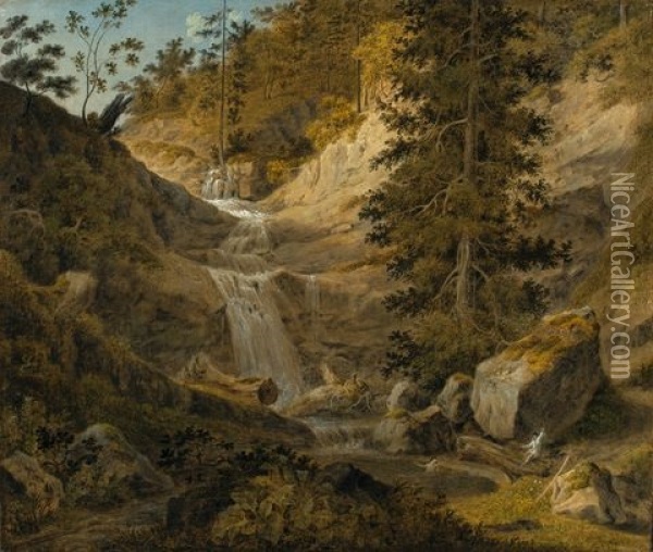 Wasserfall In Der Schweiz Oil Painting - Friedrich Christian Reinermann